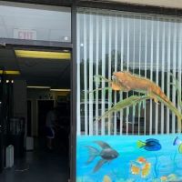 A & R Reptiles and Aquariums ico
