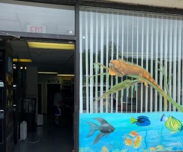 A & R Reptiles and Aquariums