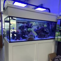 Jawz Aquarium ico