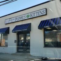 Westchester Puppies & Kittens ico