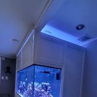 Aquarium Network ico
