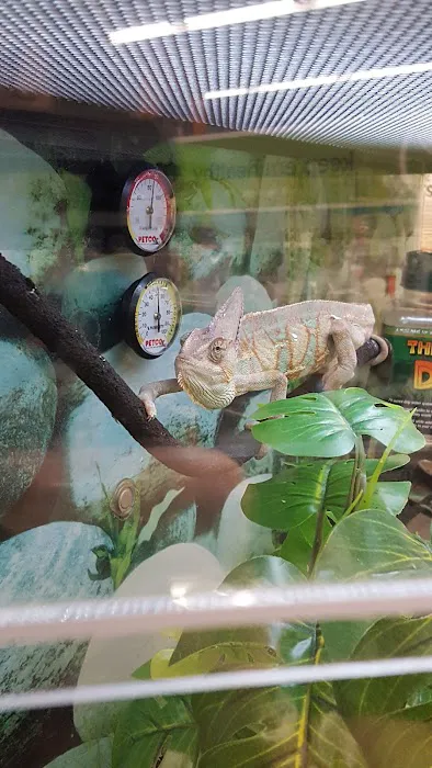 Petco 5
