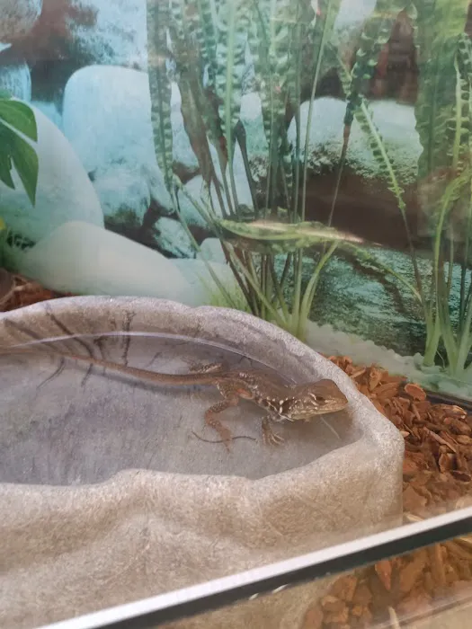 Petco 3