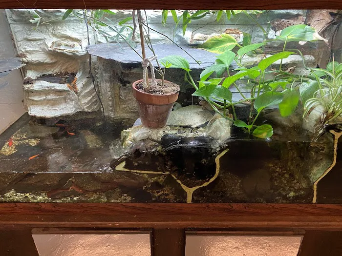 Petco 9