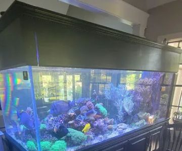 First Choice Aquatics