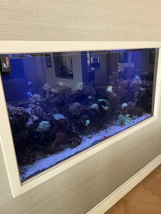 Aquarium Management Systems 12