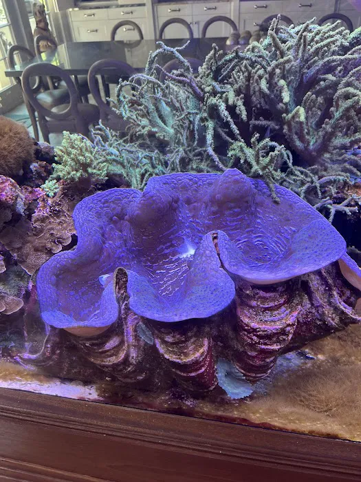 Aquarium Management Systems 12