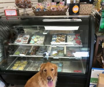 Well Bred - The Healthy Pet Marketplace & DOG GROOMERS