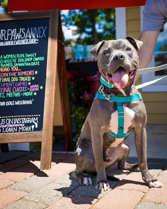 Four Paws Annex 7