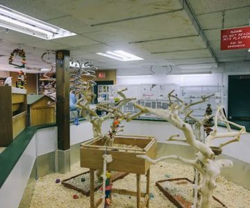 World of Birds