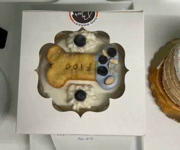Bark Nu2019 Bites Dog Bakery