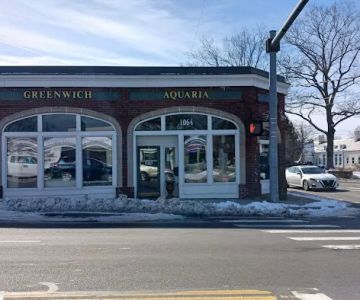 Greenwich Aquaria