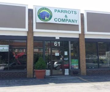 Parrots & Company