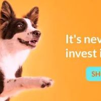 Wonder Paws ico