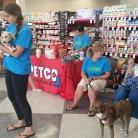 Petco ico