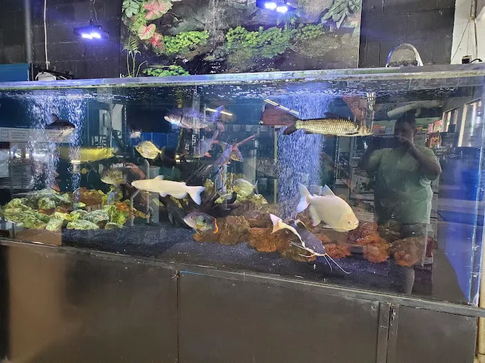 Pets Warehouse 7