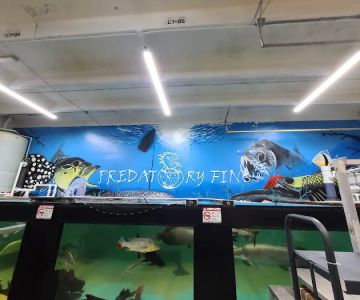 PREDATORY FINS