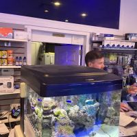 Complete Aquarium ico