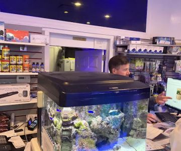 Complete Aquarium