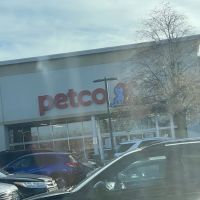 Petco ico