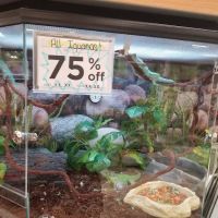 Petco ico