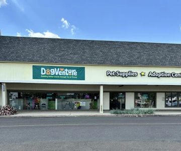 DogVenture- New Britain