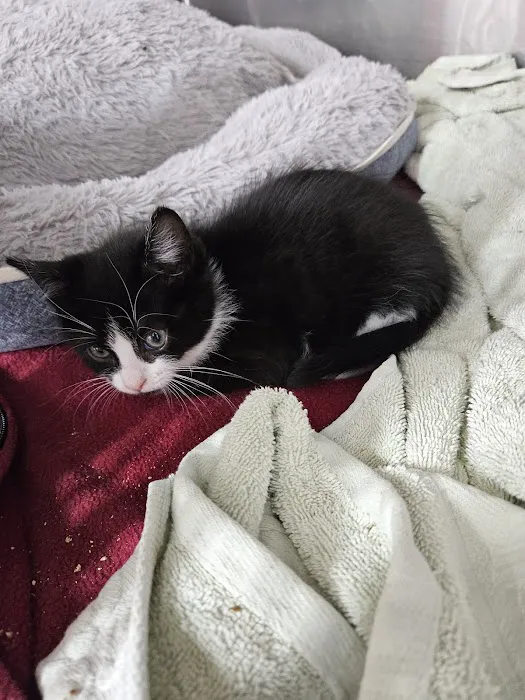 Pets Plus - Quakertown 2