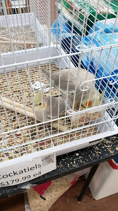 Pets Plus - Quakertown 3