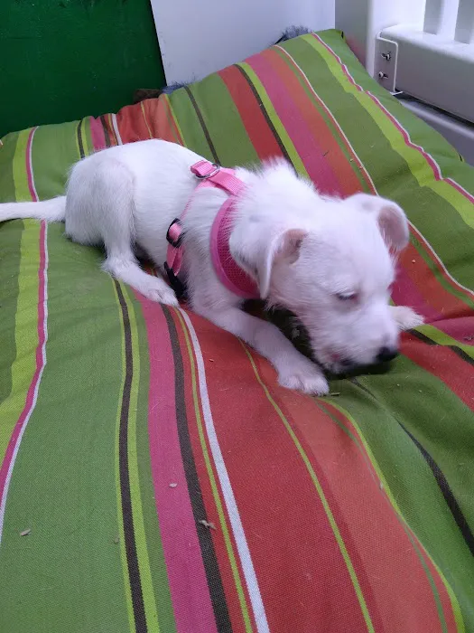 Pets Plus - Quakertown 5