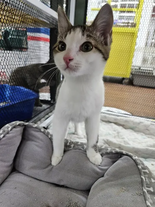 Pets Plus - Quakertown 8