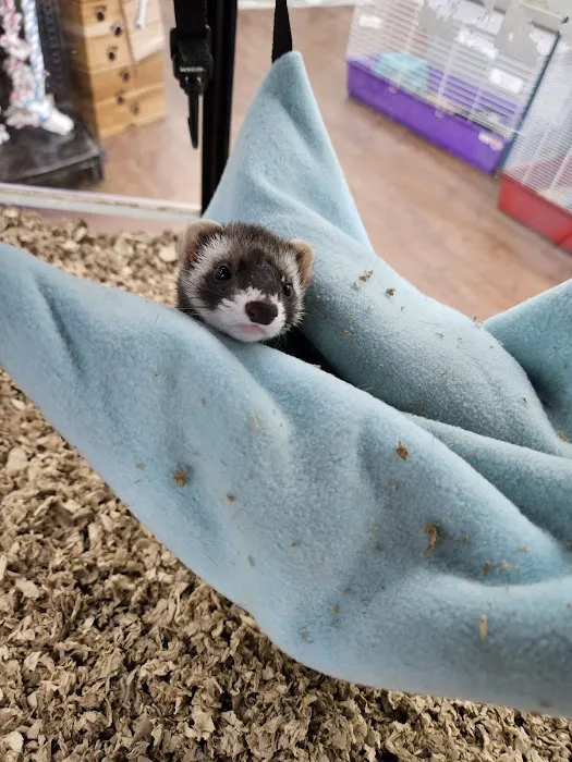 Pets Plus - Quakertown 7