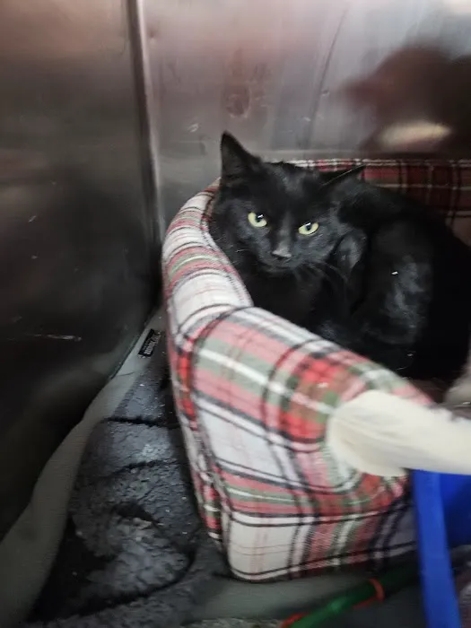 Pets Plus - Quakertown 9
