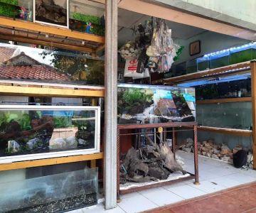 Aquatic Start Aquarium Service