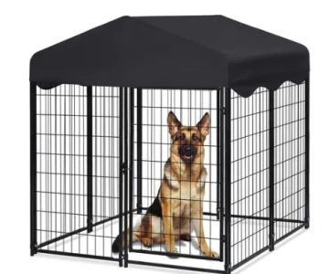 juicys Dog Boutique