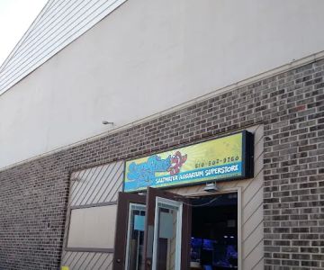 Something Fishy: Saltwater Aquarium Superstore