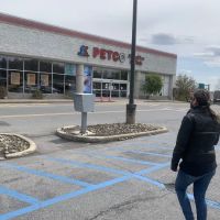 Petco ico