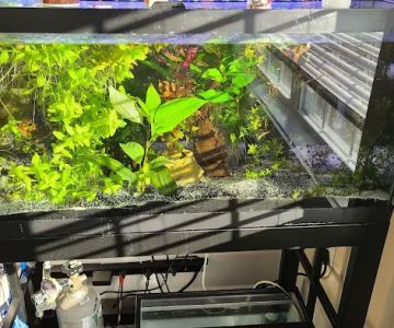 Overboard Aquatics