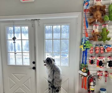 Precious Paws Pet Food & Supplies LLC