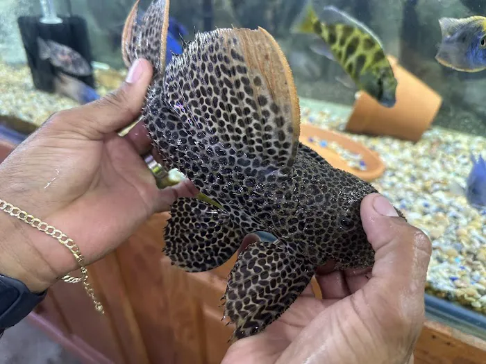 Danbury Aquarium and supplies 4