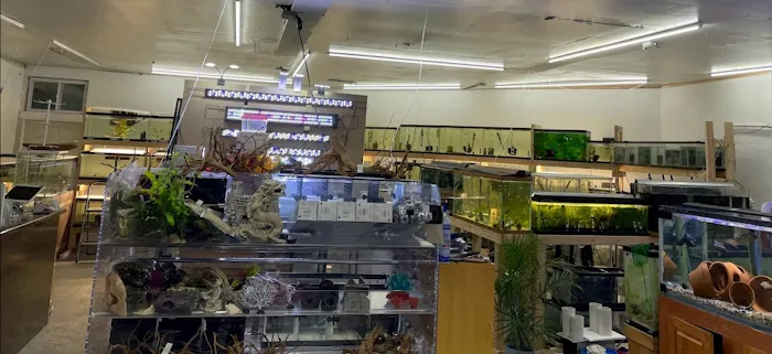 Danbury Aquarium and supplies 2