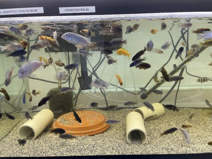 Danbury Aquarium and supplies 8