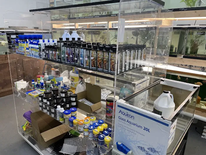 Danbury Aquarium and supplies 7