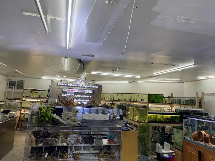 Danbury Aquarium and supplies 9