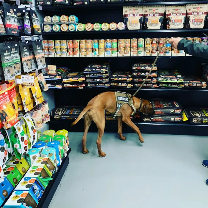 FurEver Friends Hudson Valley 3