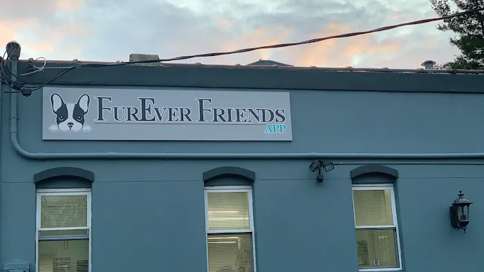 FurEver Friends Hudson Valley 2