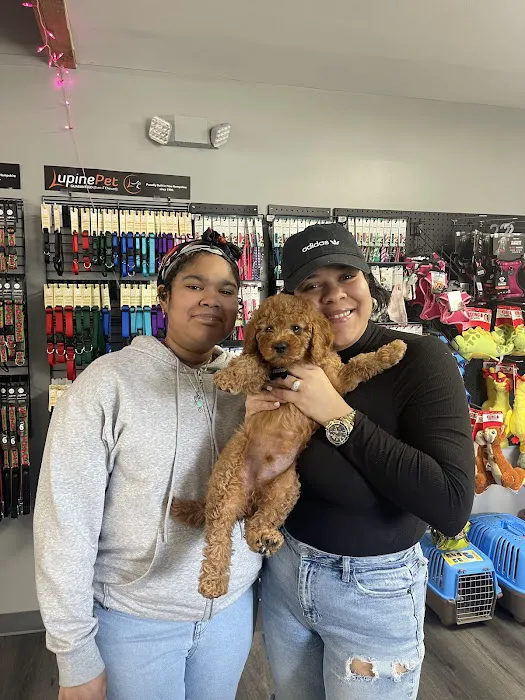 FurEver Friends Hudson Valley 6