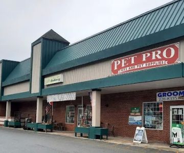 Pet Pro