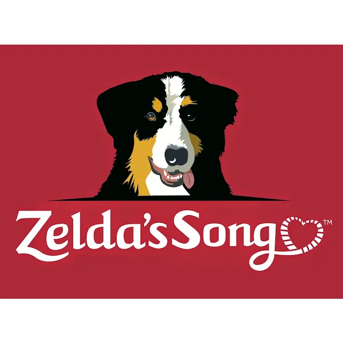 Zelda's Song 10