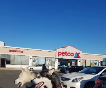 Petco