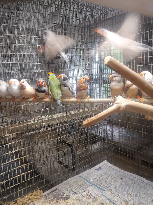 Stewarts bird farm 1